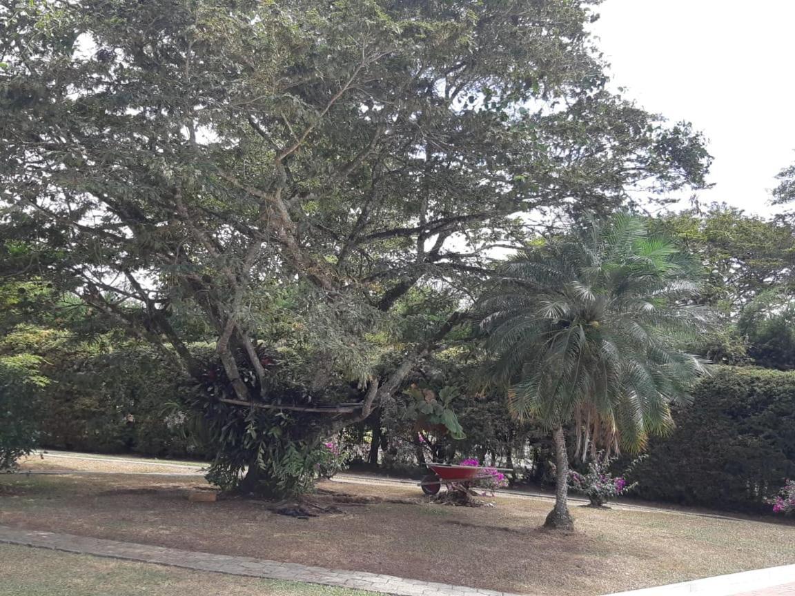 Finca Paraiso Calima Zewnętrze zdjęcie