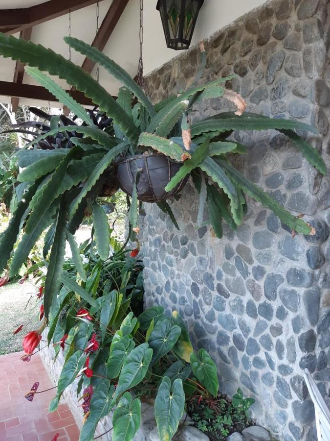 Finca Paraiso Calima Zewnętrze zdjęcie