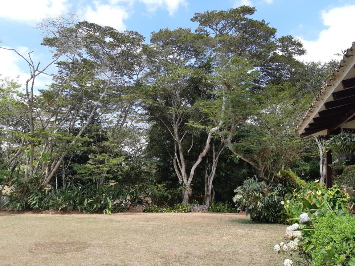 Finca Paraiso Calima Zewnętrze zdjęcie
